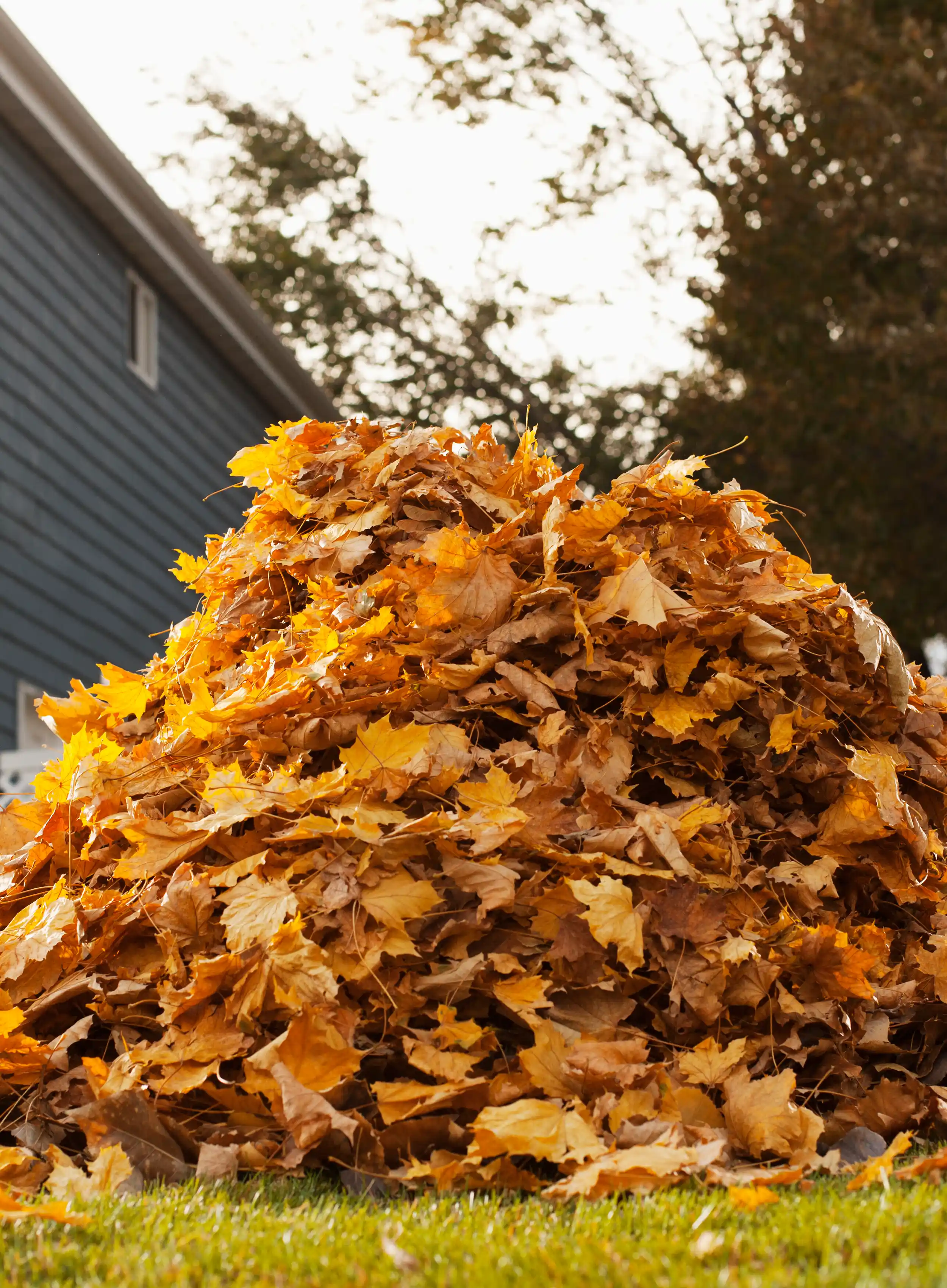 Why Spring Cleanup Is Essential for Your Property