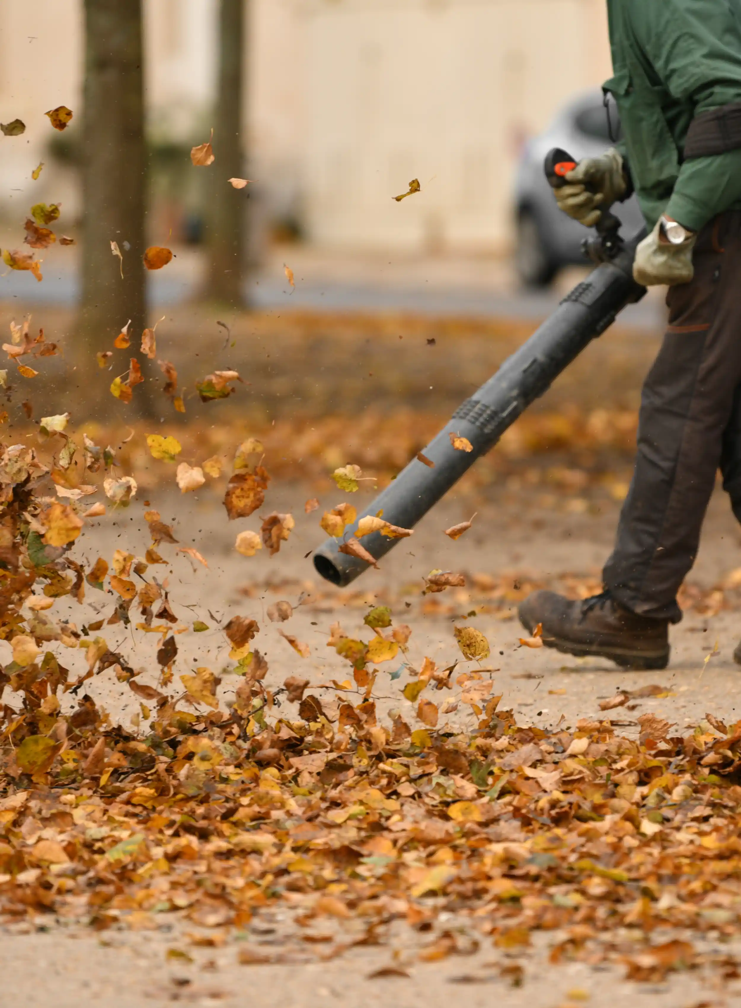 Why Spring Cleanup Is Essential for Your Property