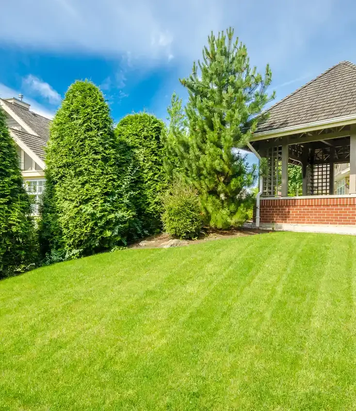 Why Choose-heredia-landscaping