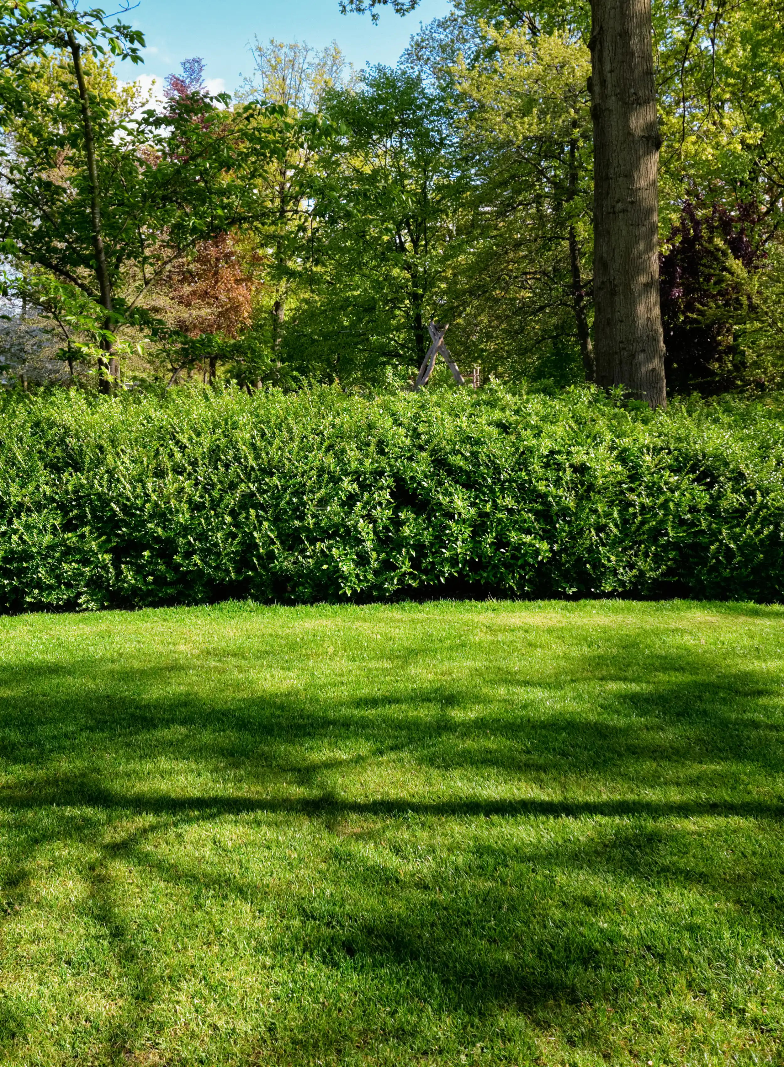 How to Keep Your Lawn Green and Healthy in Connecticut